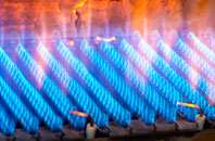 Glan Y Nant gas fired boilers